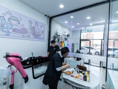 寵物店開業(yè)有什么技巧