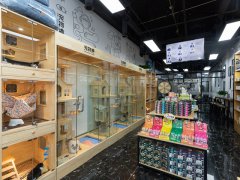 開寵物店都需要準備什么
