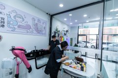 寵物店運(yùn)營(yíng)注意什么