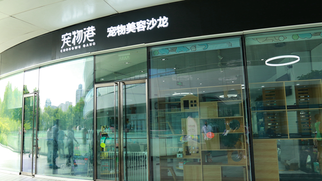 開一家寵物店應(yīng)該注意什么