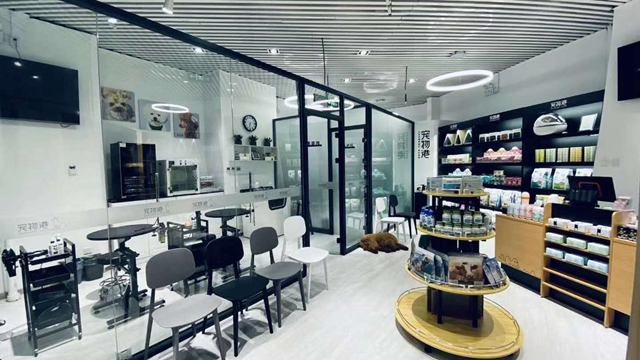 開寵物店需要學(xué)什么東西