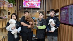 如何讓寵物店利潤不斷提升