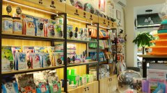 目前開一家寵物店怎么樣呢