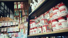 投資開寵物店如何應(yīng)對淡季時期