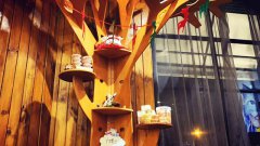 開寵物店該如何吸引更多客源