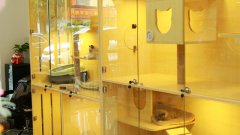 想要開一家寵物加盟店需要注意什么