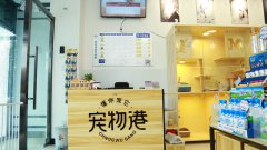 寵物加盟店怎么占領(lǐng)市場