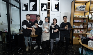 市面上不缺寵物店，缺的是好的寵物店